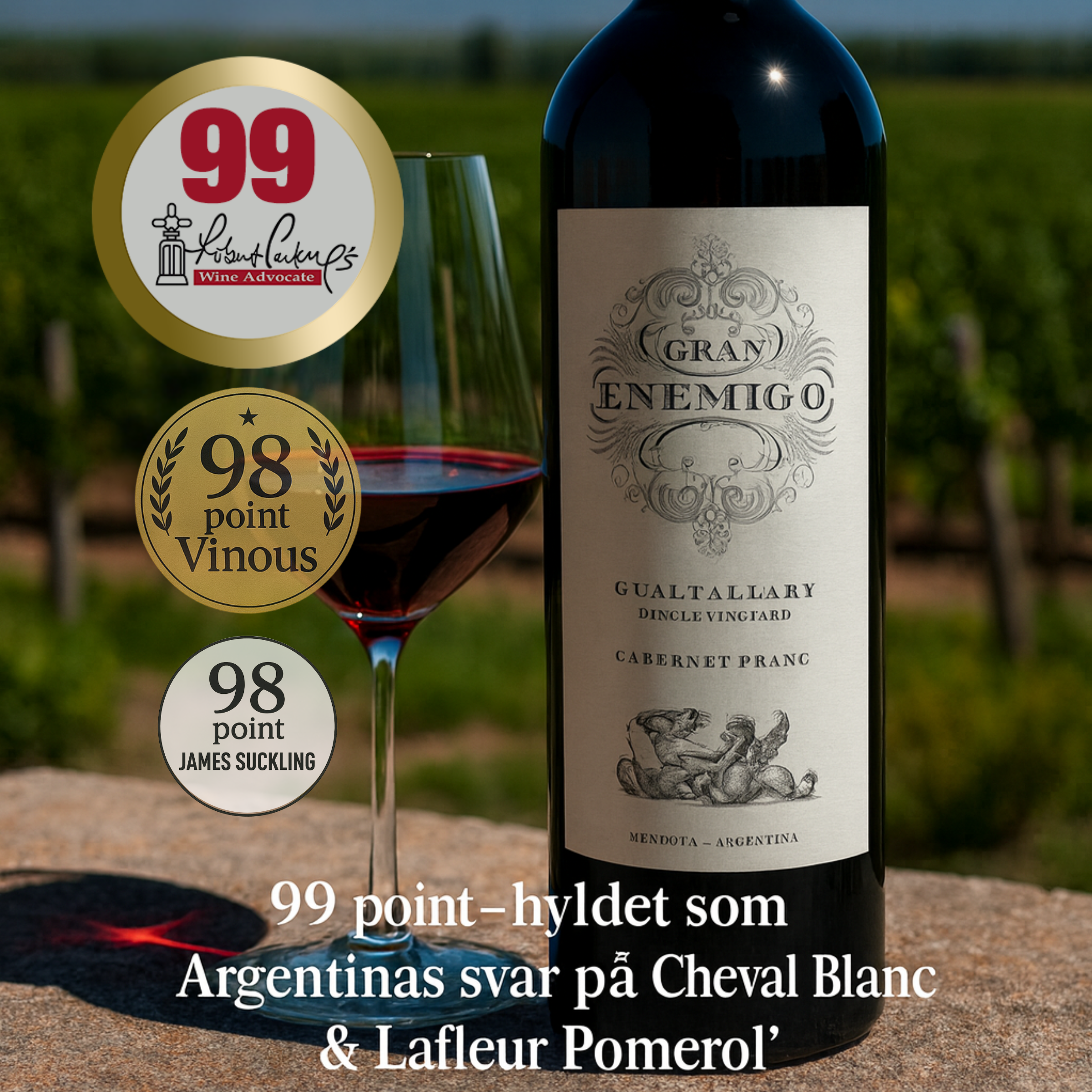 El Enemigo Gran Enemigo Single Vineyard Gualtallary Cabernet Franc 2021