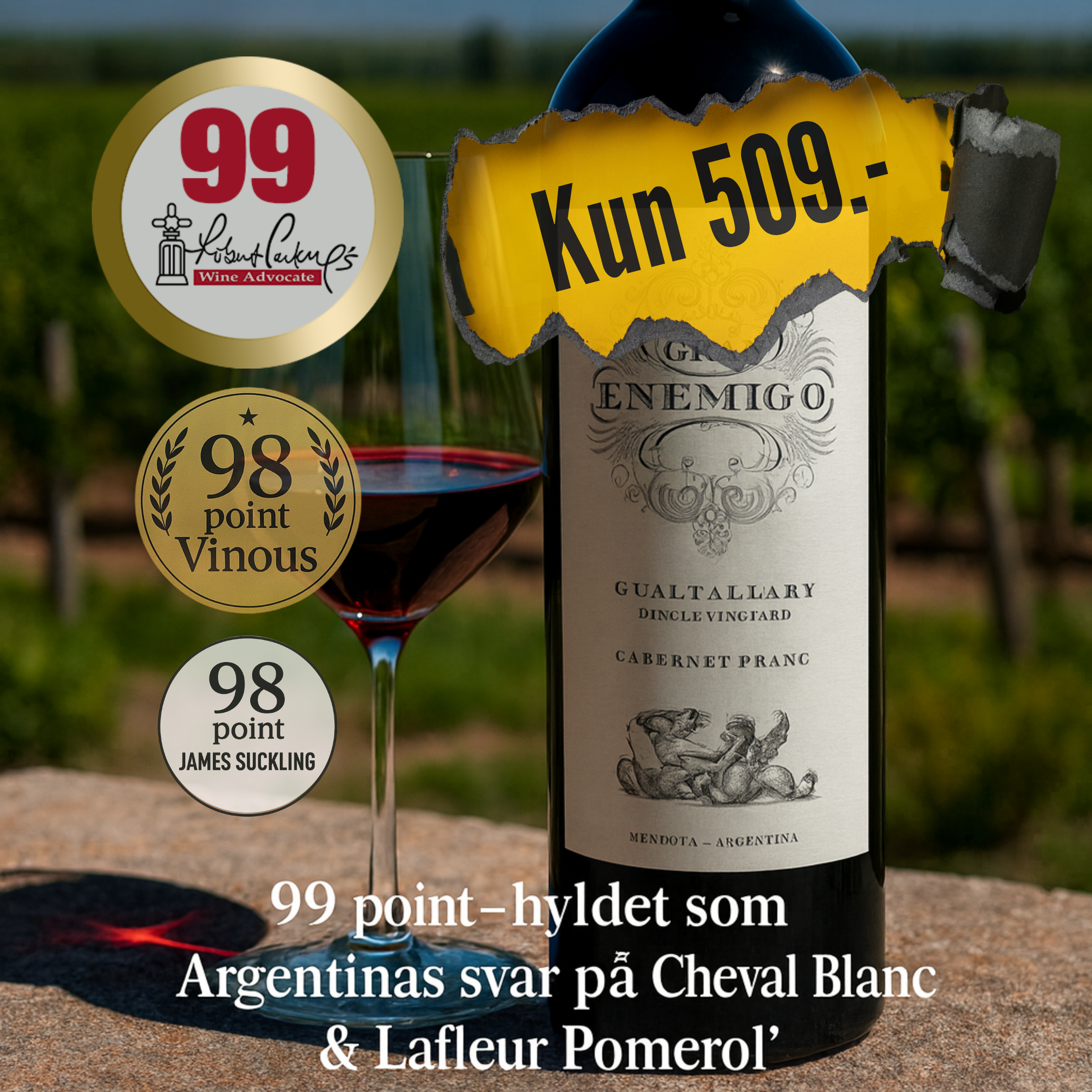 El Enemigo Gran Enemigo Single Vineyard Gualtallary Cabernet Franc 2021