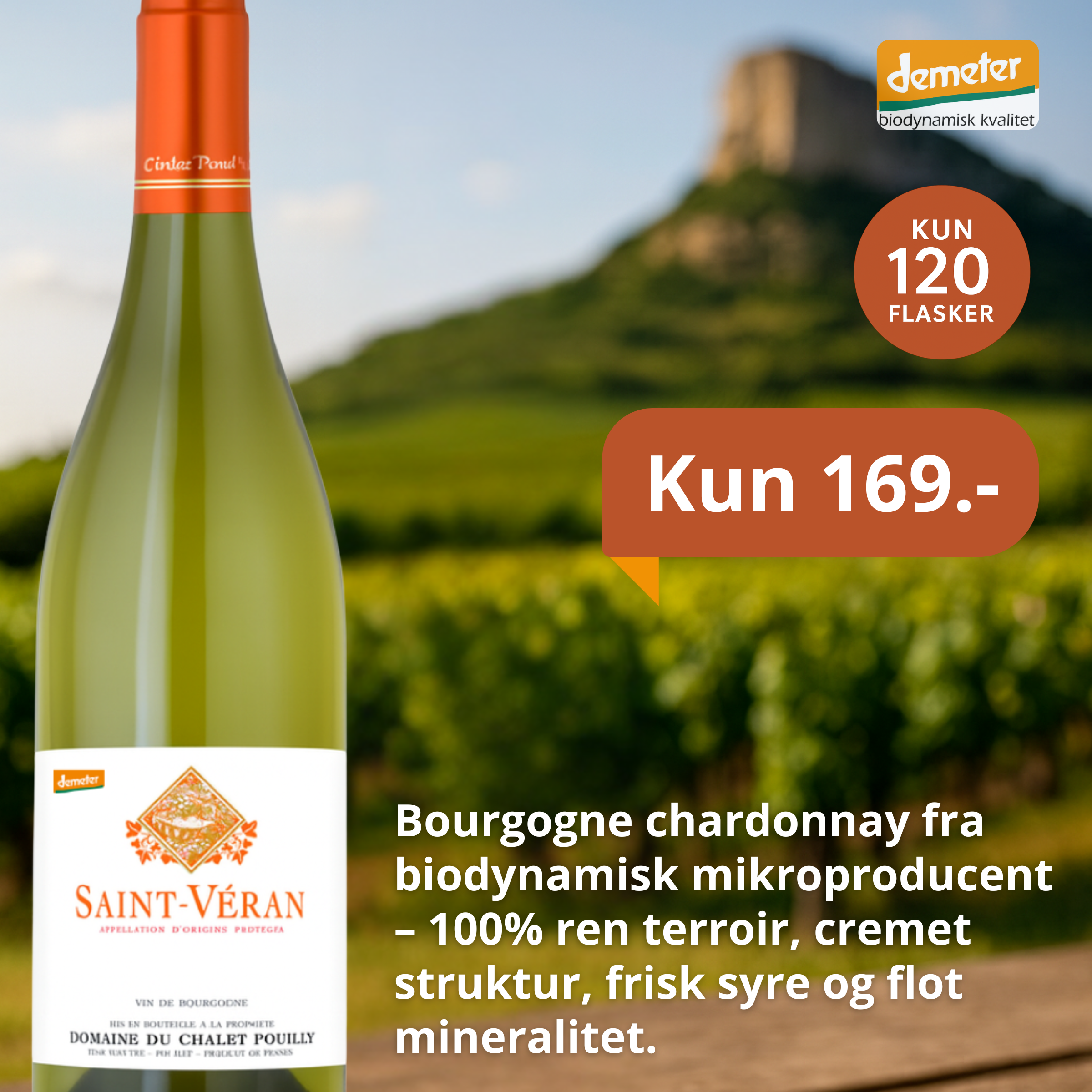 Domaine du Chalet Pouilly Saint-Véran 2023