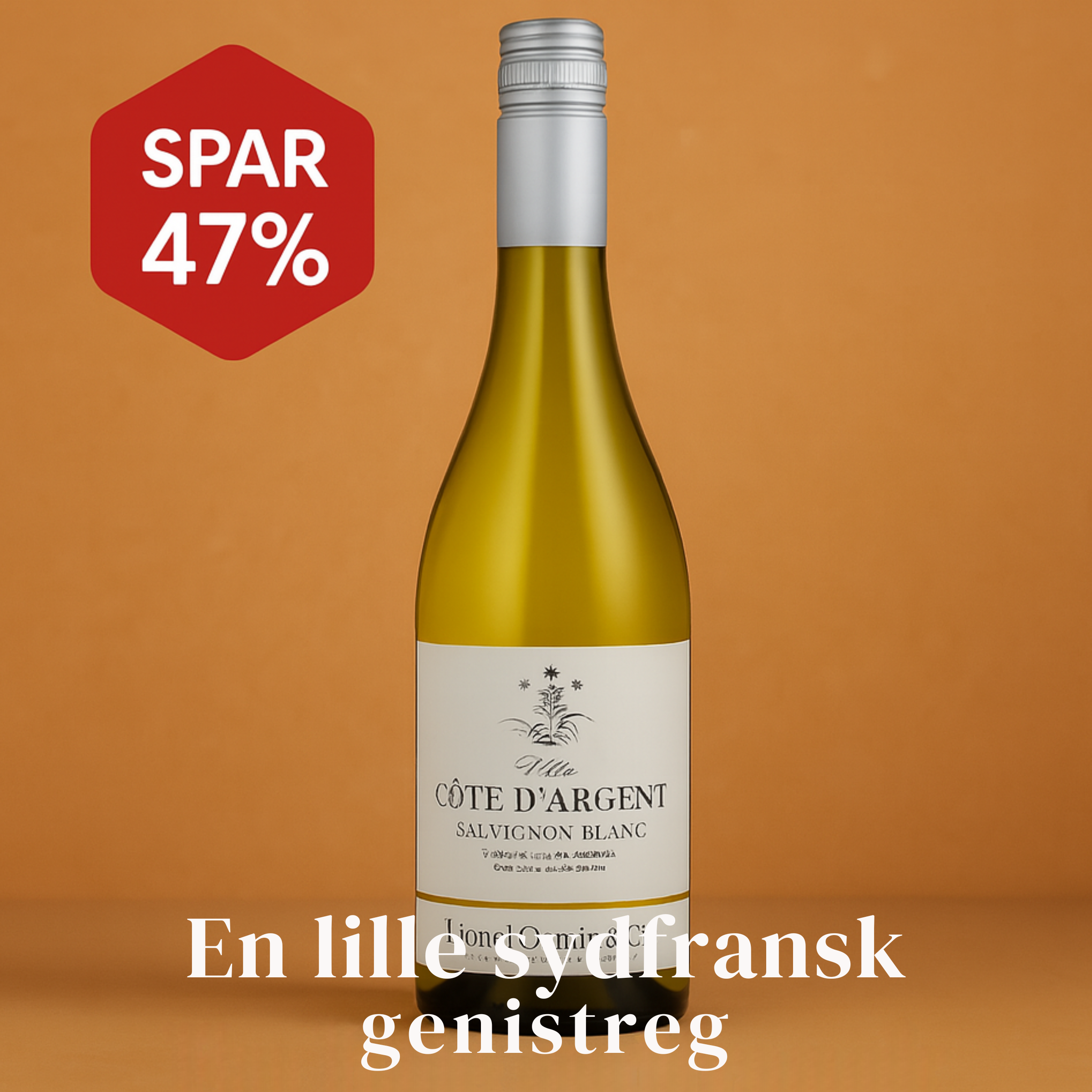 Lionel Osmin & Cie Villa Côte d'Argent Sauvignon Blanc 2024