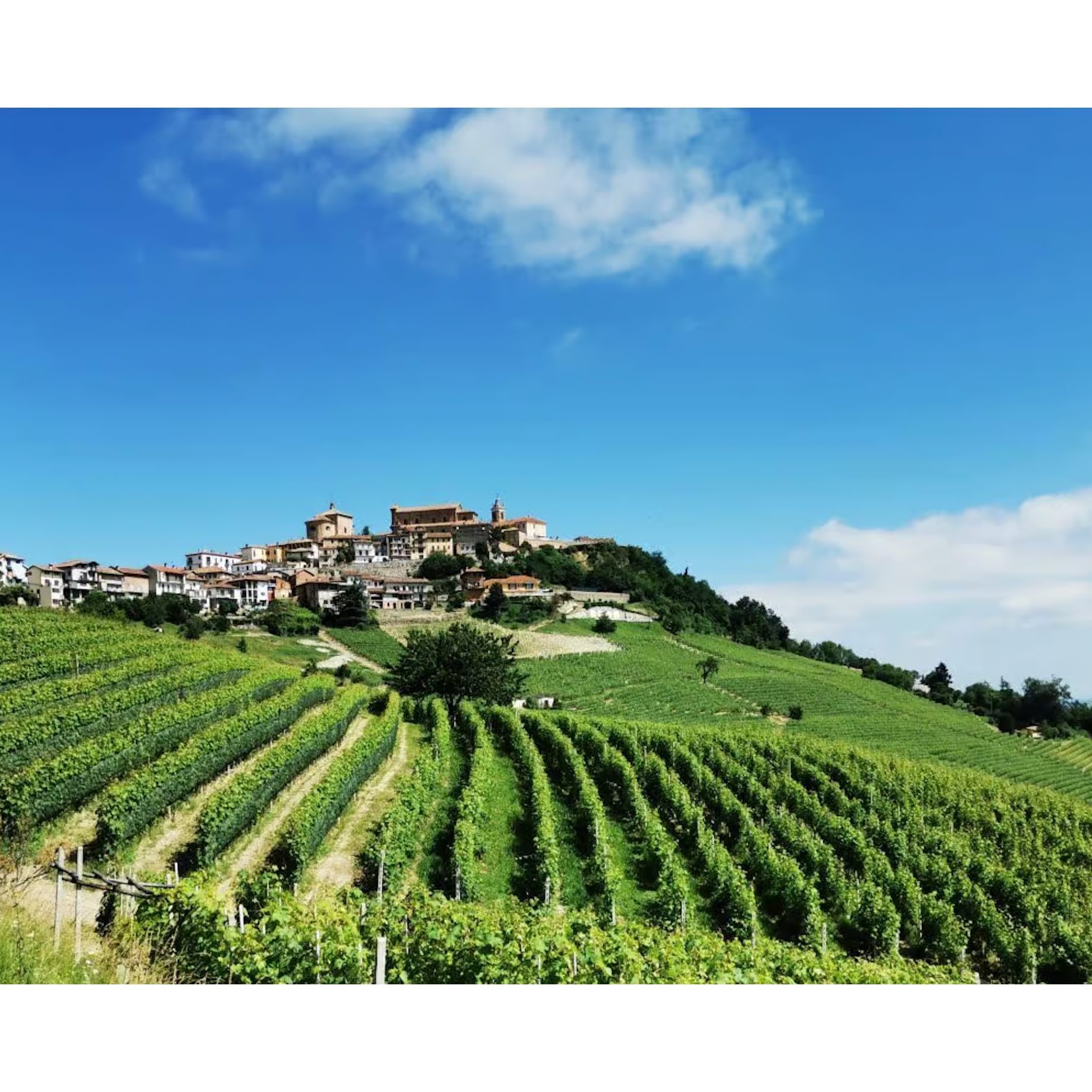 Renato Ratti Barolo Marcenasco 2020