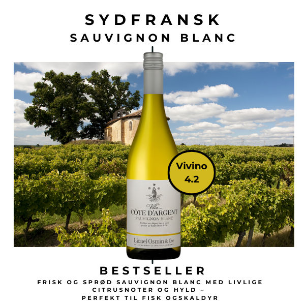 Lionel Osmin & Cie Villa Côte d'Argent Sauvignon Blanc 2024