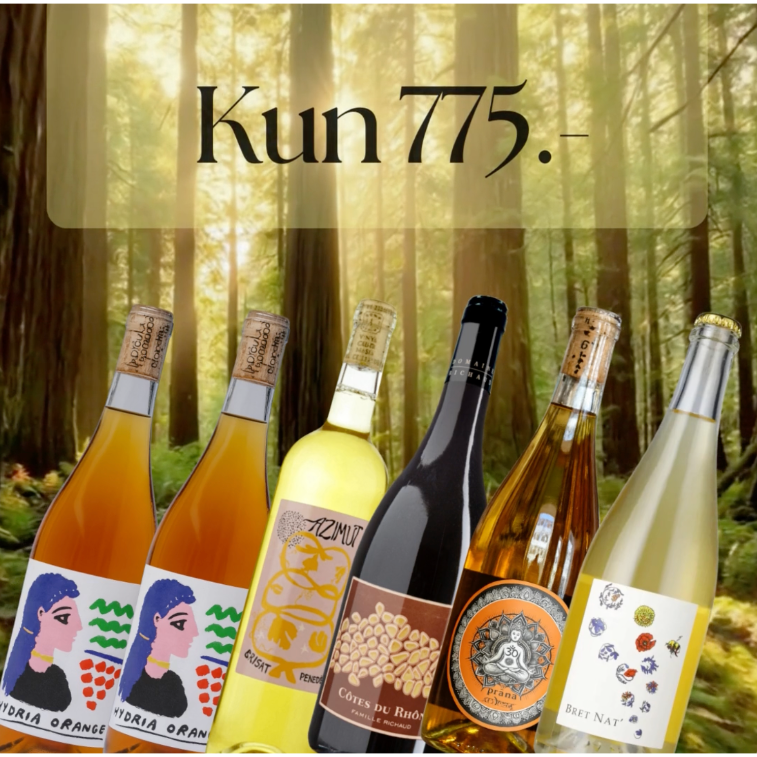 Naturvinskasse – 6 flasker vild og levende naturvin